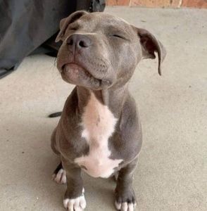 Meet your Posher, Danika